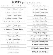 fonty ozdobne premium.jpg