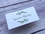 Winietki leśne, iglaki